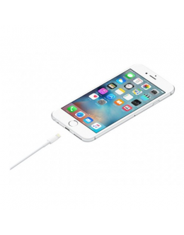 APPLE Lightning to USB Cable 1 m
