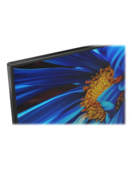 LENOVO 61CAKAR1EU Lenovo ThinkVision S24e - 10  23.8 FHD  250 nits 3000:1
