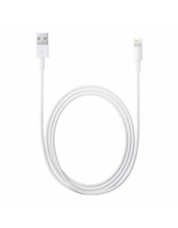 Apple Lightning to USB Cable (2 m)