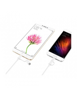 XIAOMI 15303 Xiaomi Mi 2-in-1 USB Cable