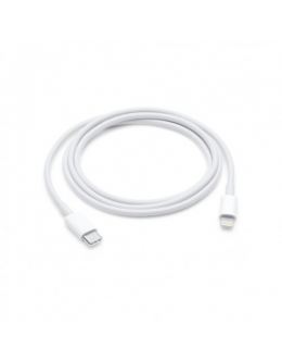 Apple Lightning to USB-C Cable (1 m)