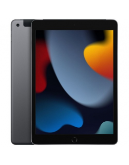 Apple 10.2-inch iPad 9 Wi-Fi + Cellular 64GB - Space Grey