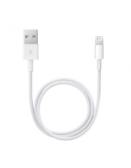 Apple Lightning to USB cable (0.5m)