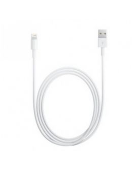 Apple Lightning to USB Cable (1 m)